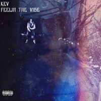 Feeling the Vibe - Single - Kevin Freeman