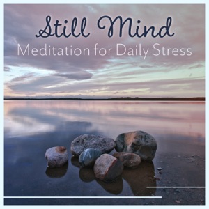 Still Mind - Meditation for Daily Stress: Blissful Escape, Relaxing Tai Chi, Liquid Music, Free from Thoughts, Smart Oasis of Calm