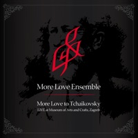 More Love Ensemble - One Who Loves Sunlight Must Love Lightning Too (Live)