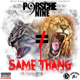 Same Thang Porsche Nine