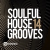 Soulful House Grooves, Vol. 14