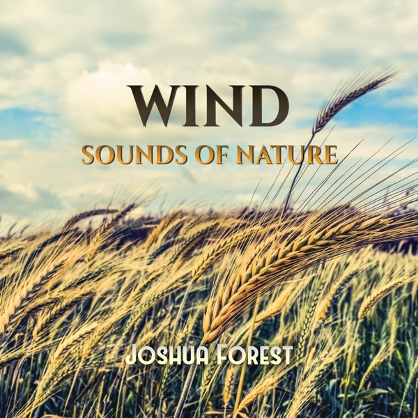 Wind (Sounds of Nature)
