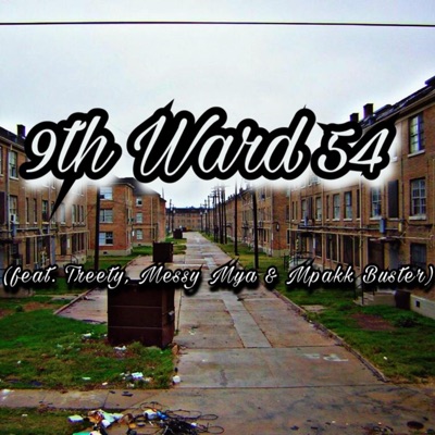 9th Ward 54 (feat. Treety, Messy Mya & Mpakk Buster) - Single