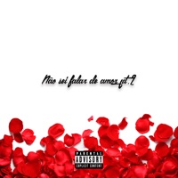 Não Sei Falar de Amor, Pt. 2 - Single - Bluntpk