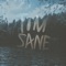 Arpi - Tim Sane lyrics