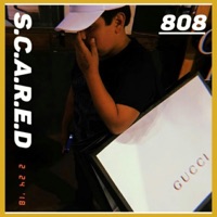S.C.A.R.E.D (feat. WhoisLilGicz) - Single - 808