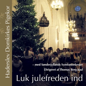 Luk Julefreden Ind