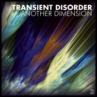 Another Dimension - Single - Transient Disorder