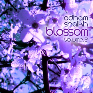 Music for Cherry Blossoms, Vol. 2