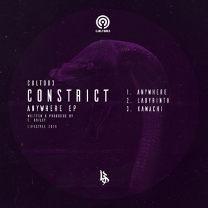 Lifestyle Presents: Culture 003 - Single