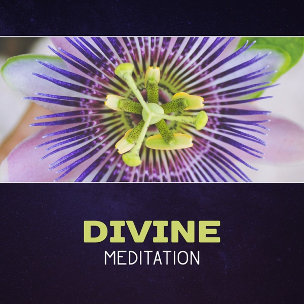 Divine Meditation