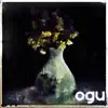 Foby - Tina (Giangi Cappai Remix)