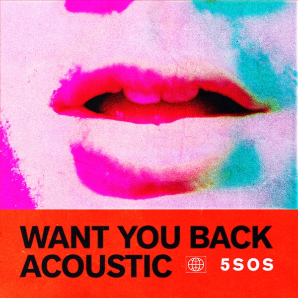5 Seconds of Summer - Want You Back