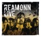 Free Like a Bird - Reamonn lyrics