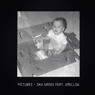 Pictures (Feat. 2Mellow) - Single