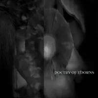 - Poetry — Poetry