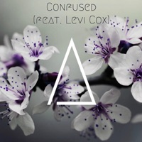 Confused (feat. Levi Cox) - Single - Spate