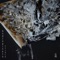 Crisis - Androginato lyrics
