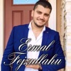 Ermal Fejzullahu & Gjiko - Shtat Ditë