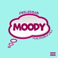 Moody (feat. Double 00) - Single - DreLee863