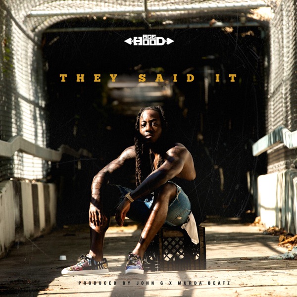 They Said It - Single - Ace Hood