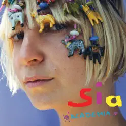 Academia - Single - Sia