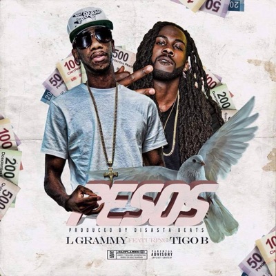 Pesos (feat. Tigo B) - Single
