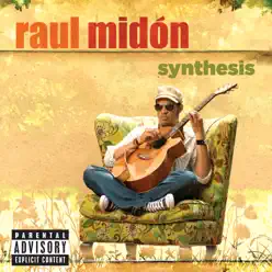 Synthesis (Japanese Version) - Raul Midon