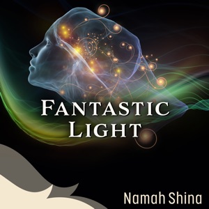 Fantastic Light