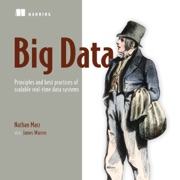audiobook Big Data: Principles and Best Practices of Scalable Realtime Data Systems (Unabridged) - Nathan Marz & James Warren