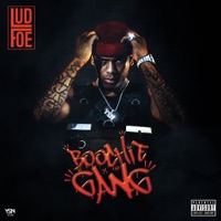 Boochie Gang - Lud Foe