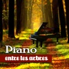 Piano entre les arbres - Combinaison de meilleures mélodies de piano avec des sons relaxants de la nature