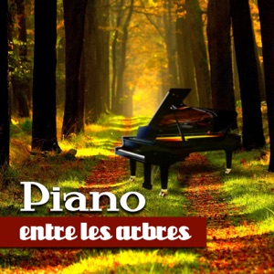 Piano entre les arbres - Combinaison de meilleures mélodies de piano avec des sons relaxants de la nature