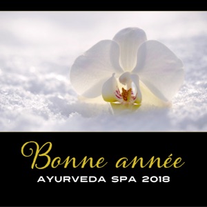 Bonne année ayurveda spa 2018 - Musique zen pour la détente après Noël, charger les batteries avant la nouvelle année