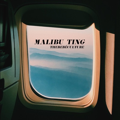 Malibu Ting (feat. Calumdj & Bonnema) - Single