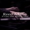 El Gato (feat. Rebeca Luna) - Reed Adams lyrics