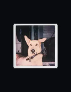 Ακούστε περιεχόμενο από Lee and the Bees, παρακολουθήστε μουσικά βίντεο, διαβάστε το βιογραφικό, δείτε ημερομηνίες περιοδείας, και πολλά ακόμη!