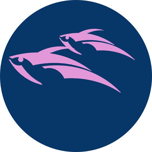Flying Fishes in the Sky - Single