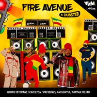 Fire Avenue in Dubstep (feat. Pressure, Capleton, Fantan Mojah & Anthony B) - Single - Young Veterans