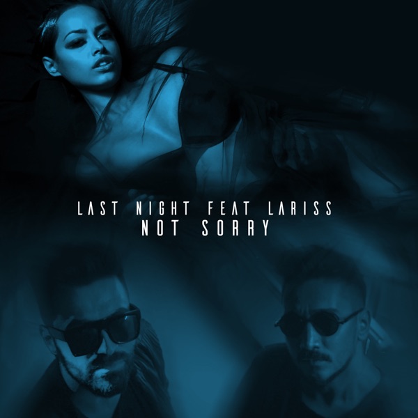 Not Sorry (by Fly Records) [feat. Lariss] - Single