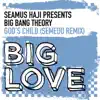 Big Bang Theory - God's Child (Semedo Remix) [Seamus Haji Presents]
