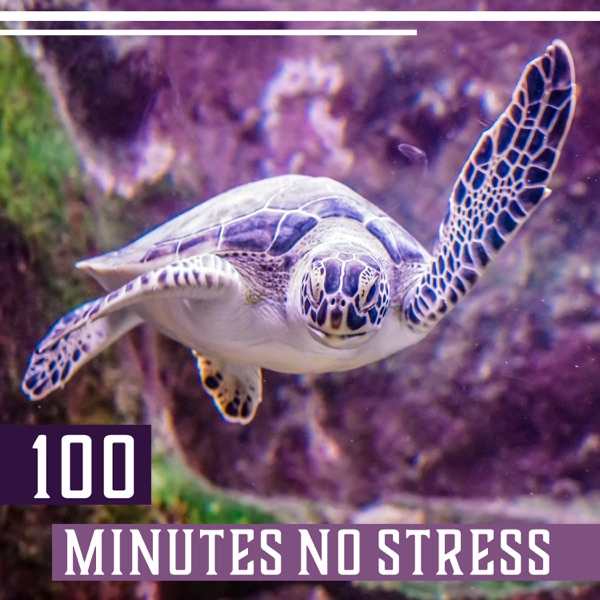 100 Minutes No Stress - Relaxing Music for Natural Stress Relief, Instrumental Background & Soothing Nature Sounds Collection