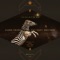 Saguaro - Djuma Soundsystem & Westerby lyrics
