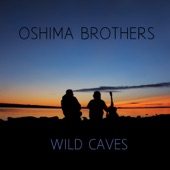 Oshima Brothers - Wild Caves