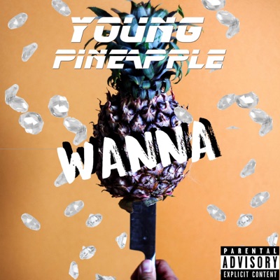 Wanna - Single