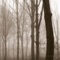 Amoc - Blueneck lyrics