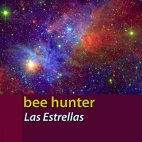 Las Estrellas - Single - Bee Hunter