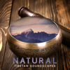 Natural Tibetan Soundscapes: Bowls, Flute & Bells with Accompaniment of Nature, Reiki Massage, Healing Buddhist Music - Therapeutic Tibetan Spa Collection