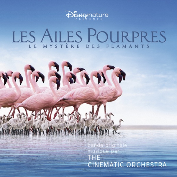 The Crimson Wing: Mystery of the Flamingos (Original Soundtrack) - The Cinematic Orchestra