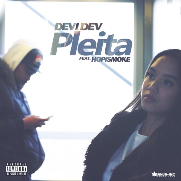 Pleita (feat. Hopismoke)